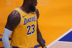 AYX-关于詹姆斯连续十二场比赛得分超过爆冷，MAD挑战极限！的信息