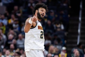 AYX-穆雷在TL比赛中逆转，突破纪录引发热议！的简单介绍